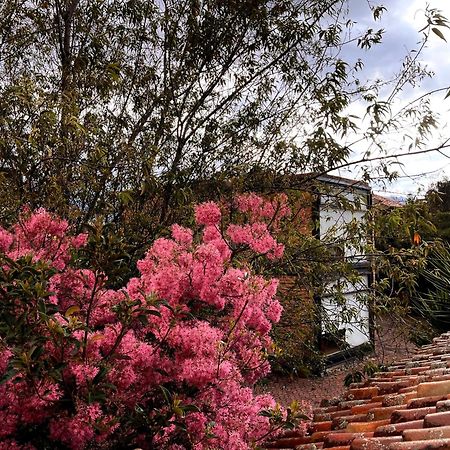 Casa Lloret Куэнка Экстерьер фото