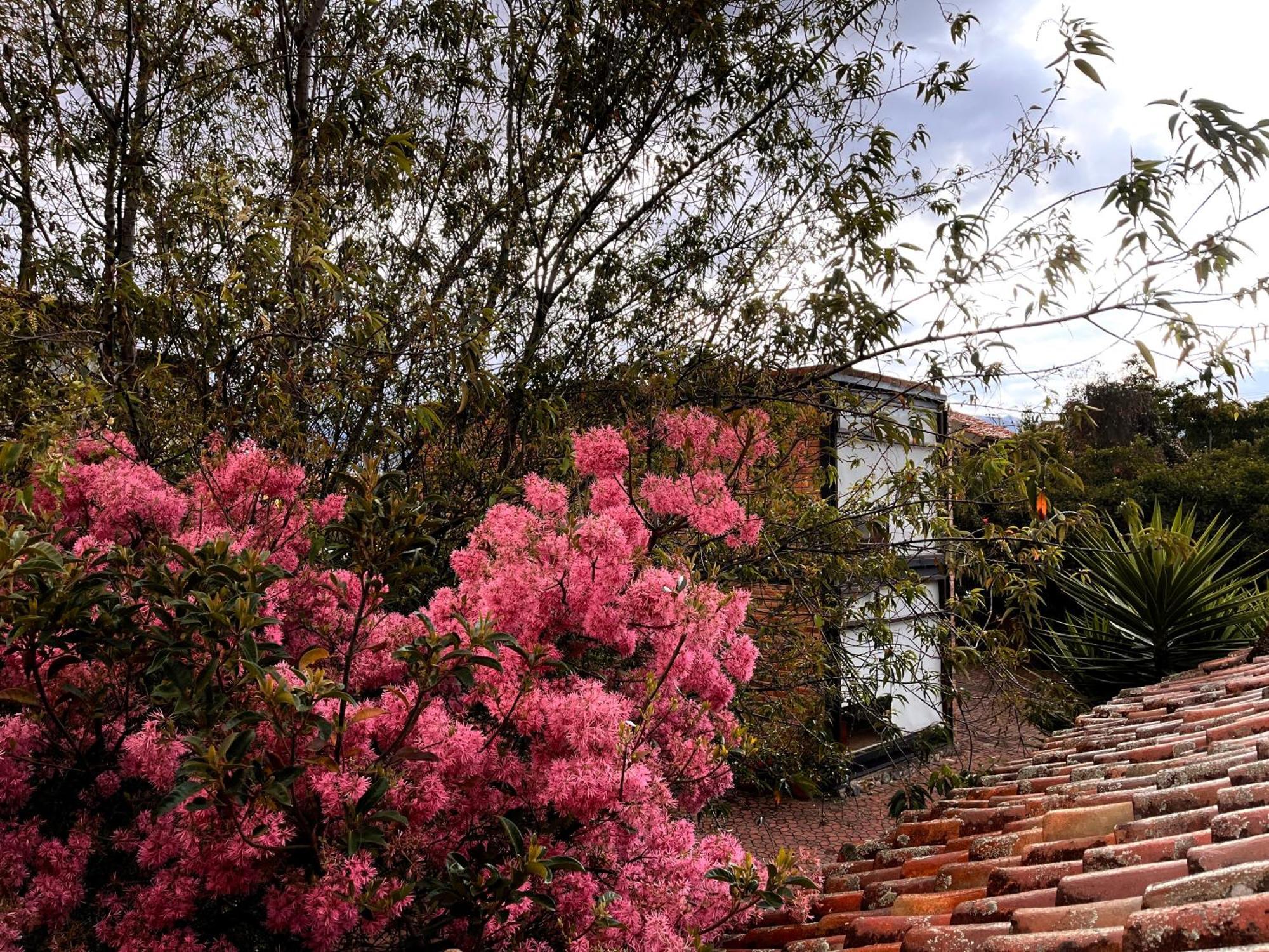 Casa Lloret Куэнка Экстерьер фото