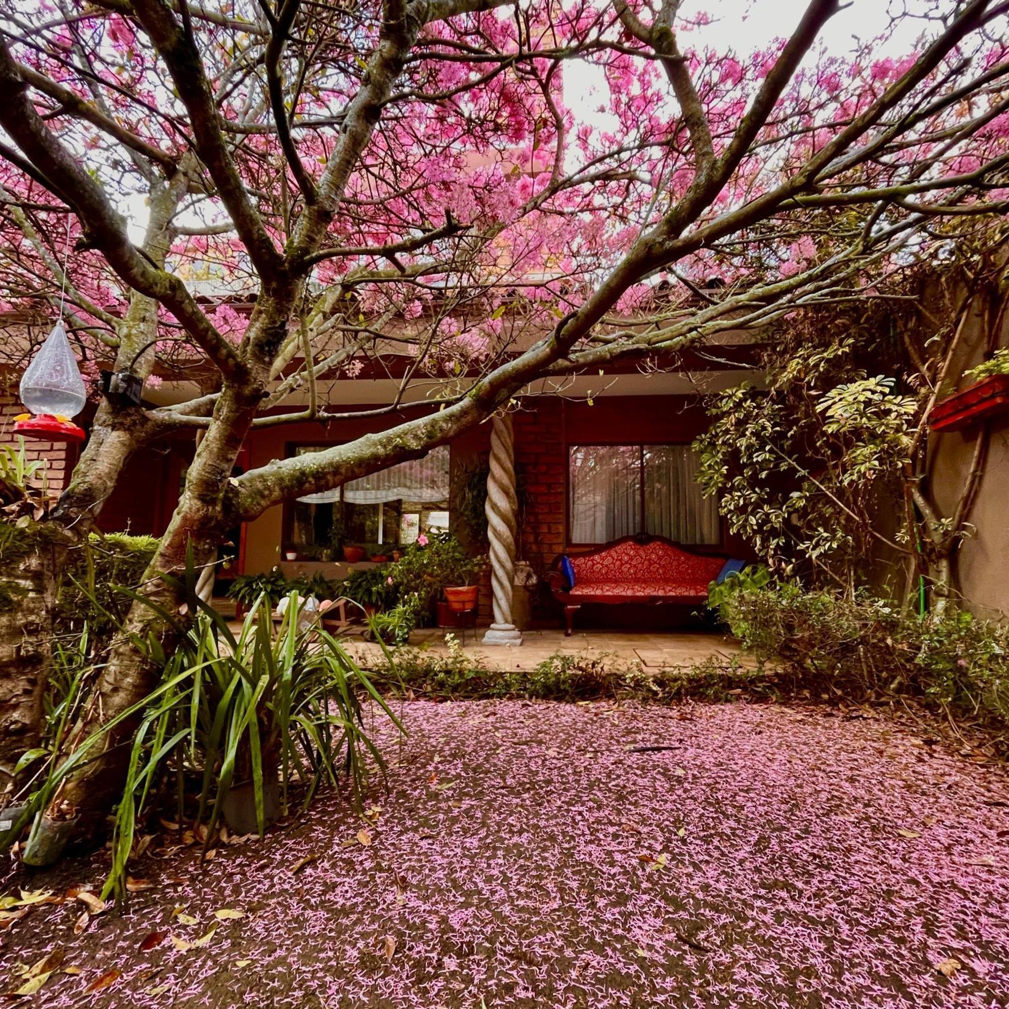 Casa Lloret Куэнка Экстерьер фото